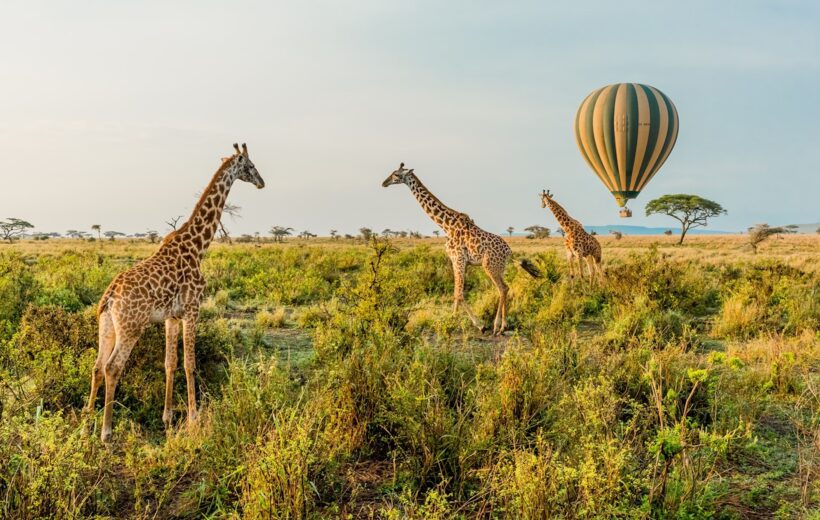 3 Days 2 Nights: Serengeti Safari & Balloon Experience From Zanzibar