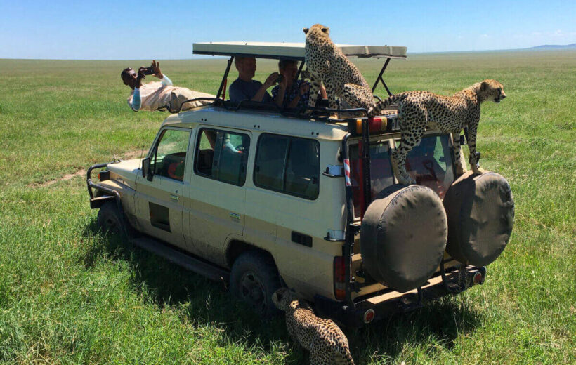 3 Days 2 Nights: Serengeti Safari From Zanzibar