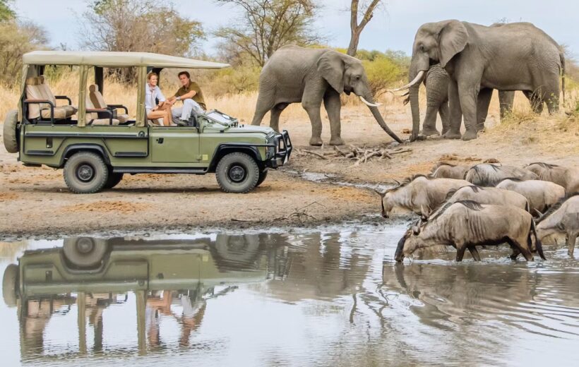 2-Day Safari Adventure: Lake Manyara & Ngorongoro Crater
