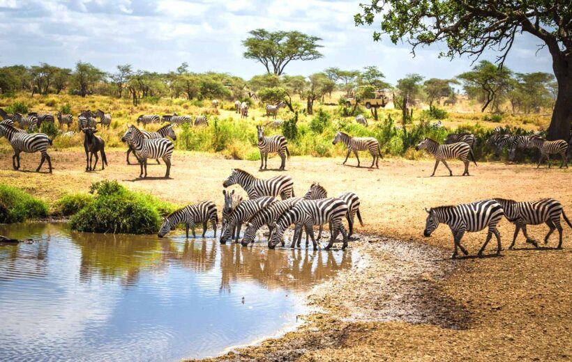 9-Day Safari and Zanzibar Beach Adventure